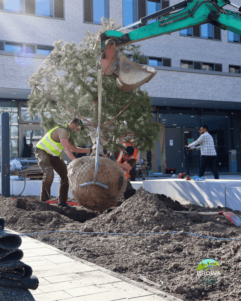 BROWA GALABAU mitarbeiter 34