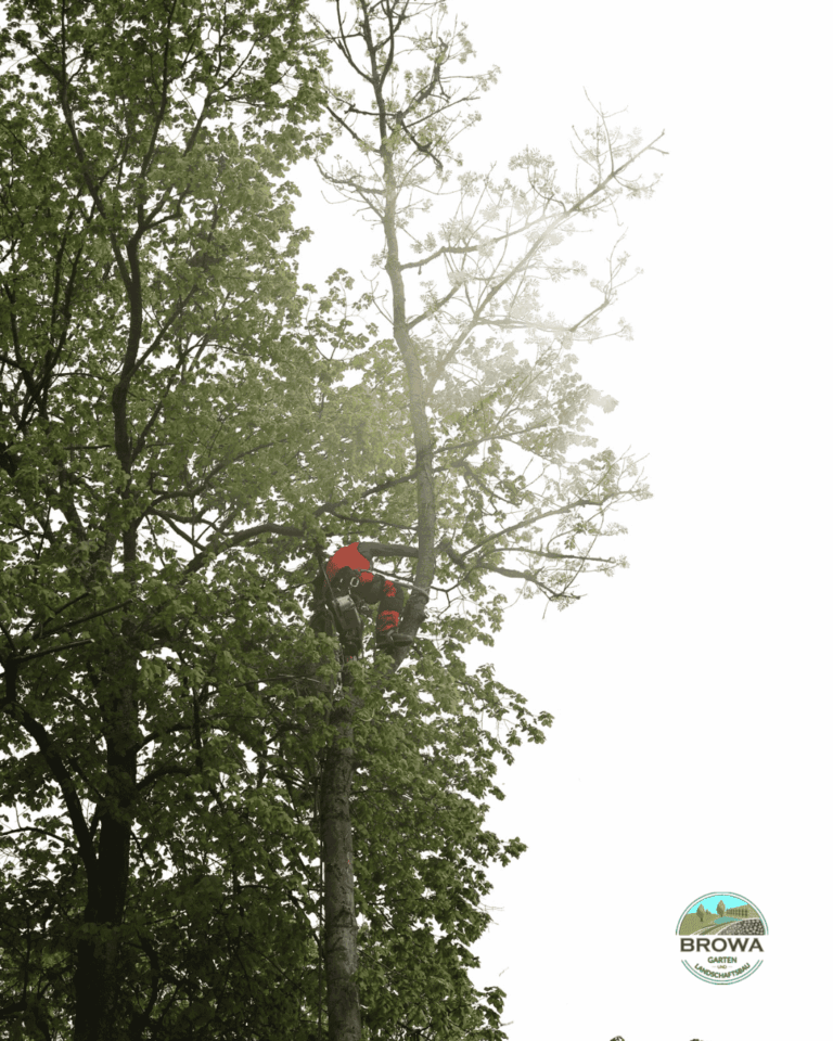 BROWA GALABAU mitarbeiter 43