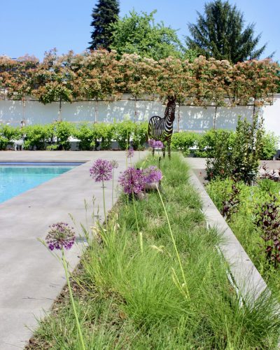 Garten- & Landschaftsbau Browa Pool mit Bepflanzung