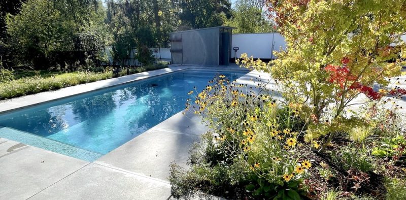 Garten- & Landschaftsbau Browa Pool mit Terrasse